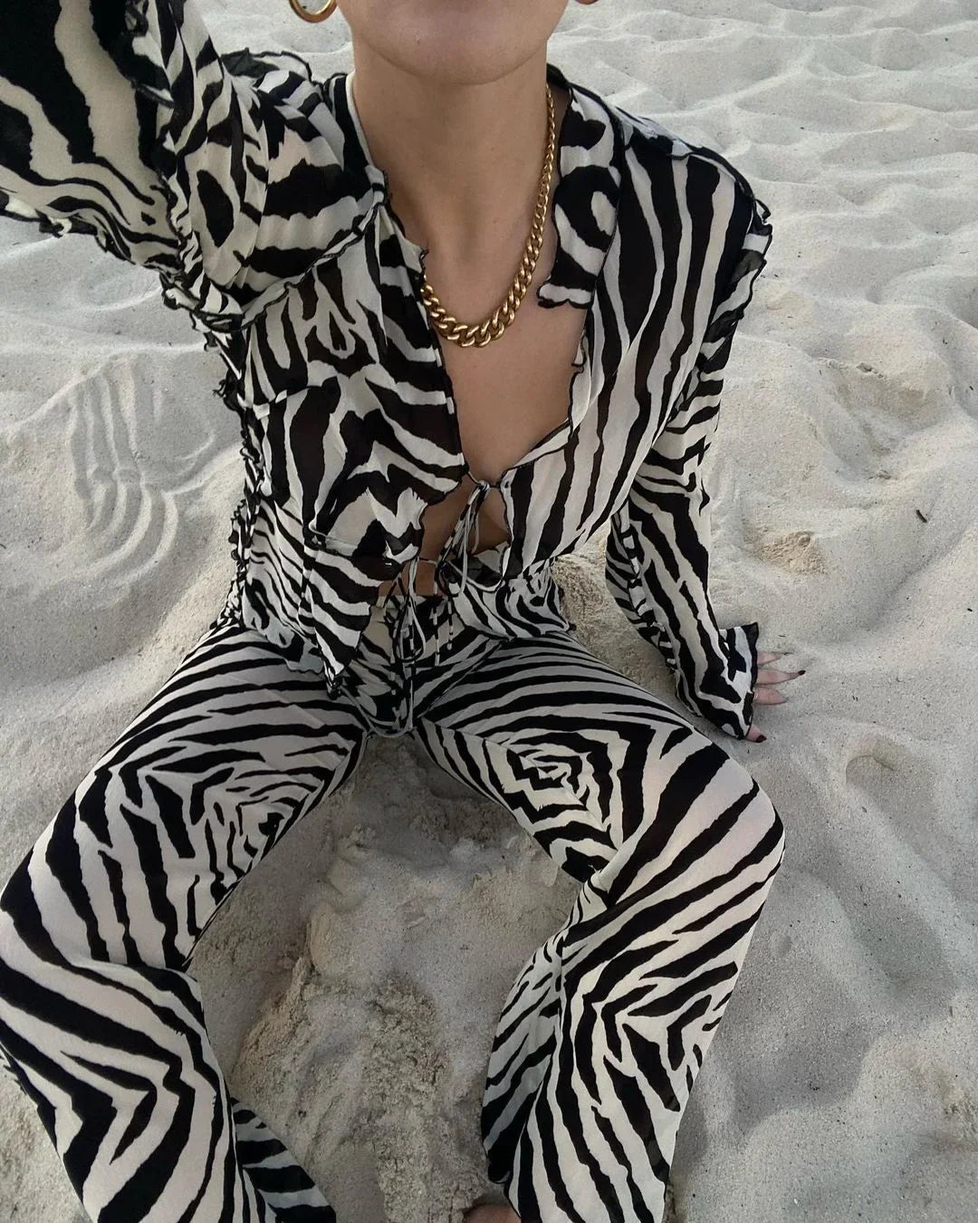 Animal Print Mesh Sheer Stripe Tie Front Detail Top Matching Sets Fashion Outfits 2 Piece Sets Holiday Beachwear Y2k Pants