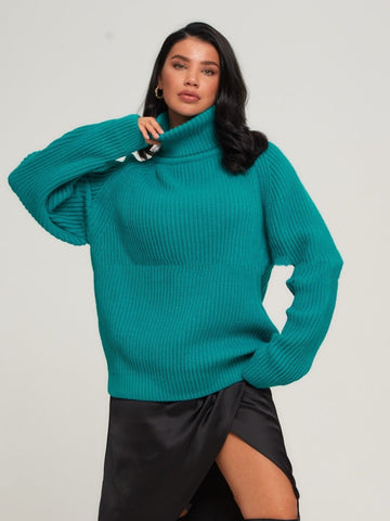 Solid Knitted Women's Turtleneck Sweater Pullovers Female Long Sleeve Top Autumn Winter Soft Ladies Sweaters Jumper