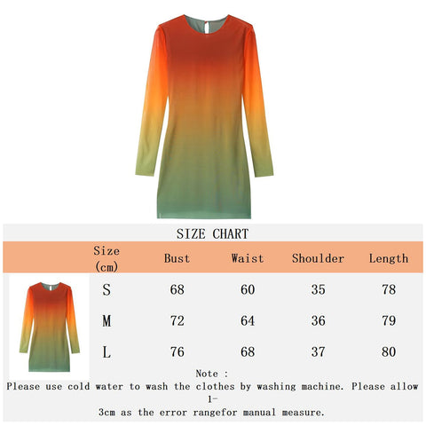 Mesh Print Sexy Mini Dress O Neck Long Sleeve Slim See Through Slim Streetwear Retro Dresses For Women Night Club Party Vestidos