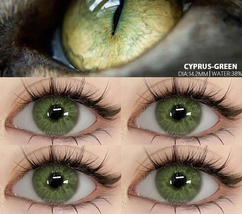 1 Pair Natural Colore Contact Lenses Color Contact Lenses for Eyes Blue Lenses Big Eye Lenses Yearl Eye Contacts Lenses