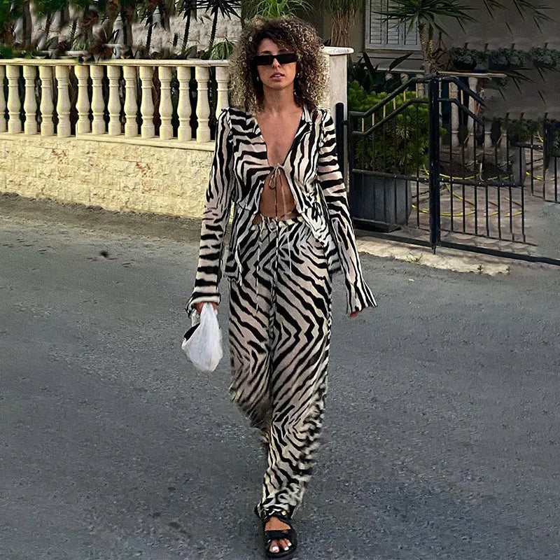 Animal Print Mesh Sheer Stripe Tie Front Detail Top Matching Sets Fashion Outfits 2 Piece Sets Holiday Beachwear Y2k Pants